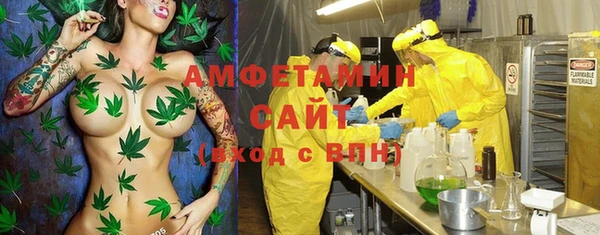 амф Алзамай