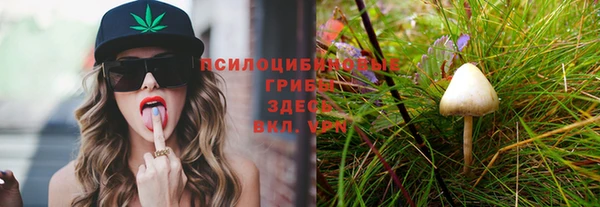 герыч Алексеевка