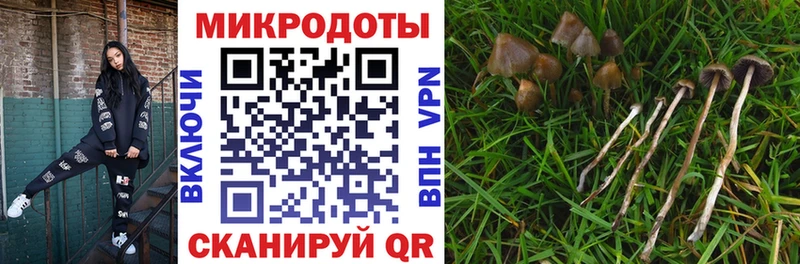 МЕГА зеркало  Бологое  Псилоцибиновые грибы Psilocybine cubensis 